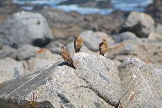 Casa Punta del Trueno - 1