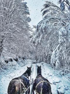 Casuta de la Munte - 3