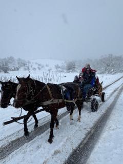 Casuta de la Munte - 5