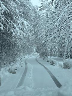 Casuta de la Munte - 7