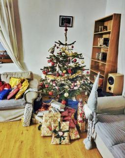 Casuta de la Munte - 8