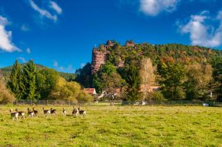 Barbaras Felsenlodge - 9