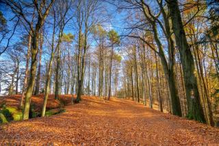 Apartmán Doubravice - 5