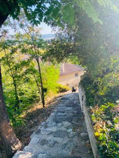 La Maison Perchée - 8