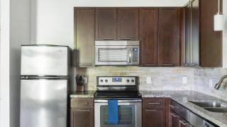 Landing Apartments - Bridge at Indigo - 7