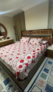 شقه فندقيه علي كورنيش النيل - 3