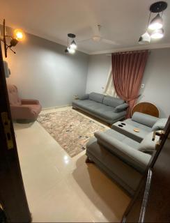 شقه فندقيه علي كورنيش النيل - 2