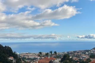 Cozy Studio & Patio in Funchal - 1