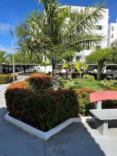 Pérola Boutique Aruana - 2