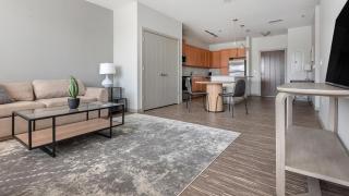 Landing Apartments - Cortona at Forest Park - 7