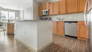 Landing Apartments - Cortona at Forest Park - 4