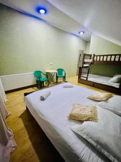 cottage in tsemi (Borjomi) - 3