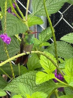 Apartamento con dos habitaciones - 1