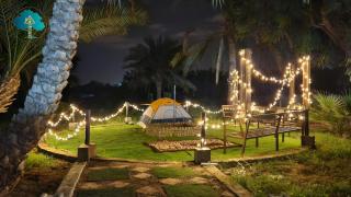 The 9th planet "Ecoliving Cult" - 9