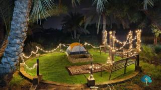 The 9th planet "Ecoliving Cult" - 8