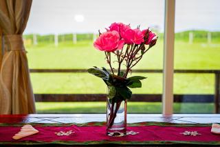 Cabañas Altos de Ñida - 4