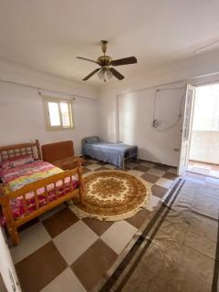 alexandria agamy elhanovil - 8