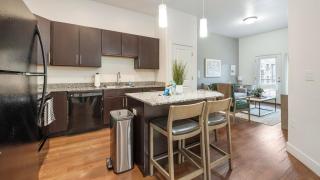 Landing Apartments - Dry Creek at East Village - 6