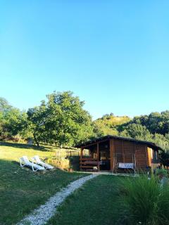 Brvnare Duguljac Fruška Gora - 4