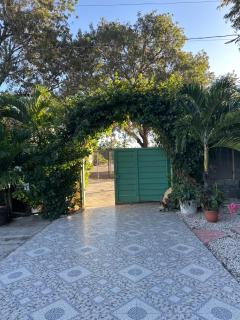 casa de ls flores - 4