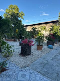 casa de ls flores - 1