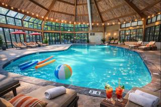 Modern 3BR Townhouse Near Kalahari, Aquatopia & Great Wolf - 9