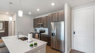 Landing Apartments - Tribute at the Rim - 4