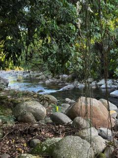 Casa com rio privativo um paraíso ecológico - 4
