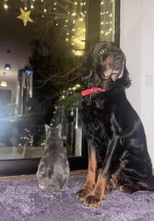 Guest House Hello - Koetaisi - 7