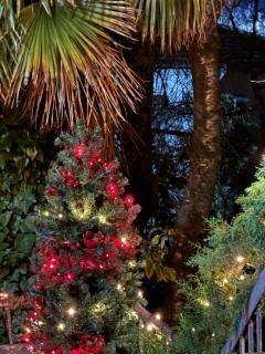 Guest House Hello - Koetaisi - 9