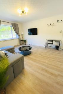 Newly Renovated 2-Bedroom Apartment - 4