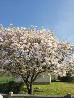 Le clos du rhododendron proximité Dieppe -  - 2