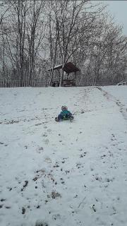 Brvnare Duguljac Fruška Gora - 5