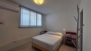 Loft 201 H54 Waiwa host - 5