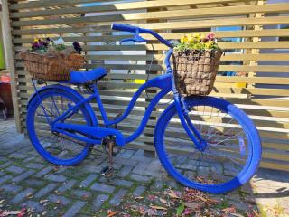 Redwood Staytion No Ten - An Easy Walk to the Forest - 8