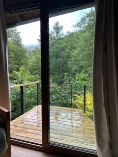 Refugio en el bosque - 3