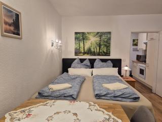NaturBlick am Rothaarsteig neue moderne Ferienwohnung mit 2 Badezimmern 2 Küchen inklusive Highspeed Internet Flatrate 2x XXL Boxspringbett 2x Terrassen und 2x PKW Parkplätze 10 Minuten bis Willingen Ideal für Touristen und Geschäftsleute mit MWStRechnung - 6