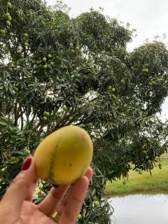 Chácara do lago - 9