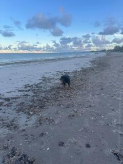 Casa de veraneio e temporada em Camboinha 1 - 8