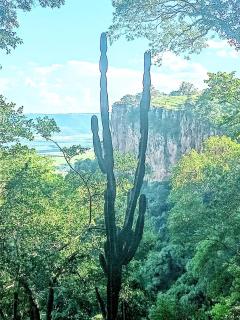 Casa das Cachoeiras - 5