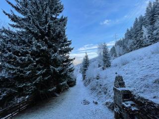 Rodinný penzion Míša - 1