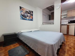 Apartamento Centenario - 1