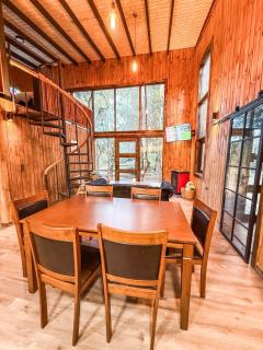 Cabañas Mountain Fox -Chilote - 1