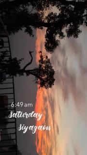 Haryana family hotel & restaurant - 5