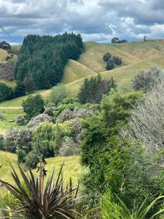 High Haven Cottage in the Orinoco Valley - 4