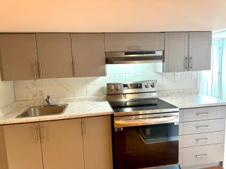 Beautiful walkout basement - 2