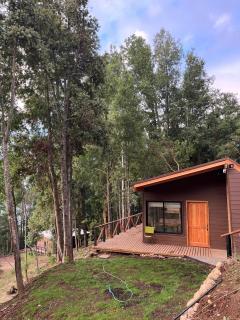 Cabaña Los Arrayanes 2 - 6