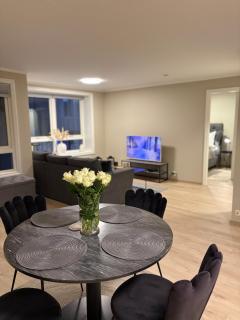 Luxurious apartment central in Strømsø Drammen - 2