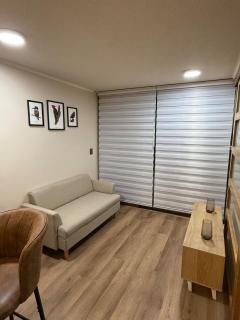 Vista a la cordillera a pasos de Barrio Italia - 3