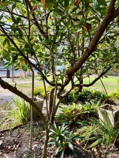 Mountain Wellness Retreat - 8